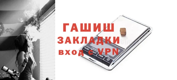 гидра Абаза