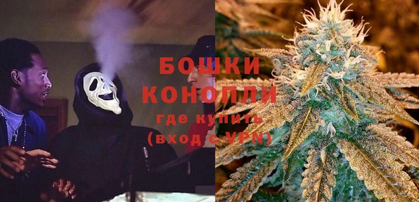 гидра Абаза