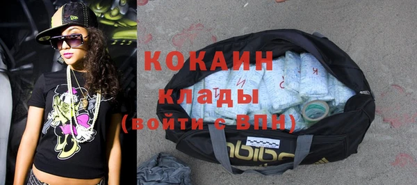 гидра Абаза
