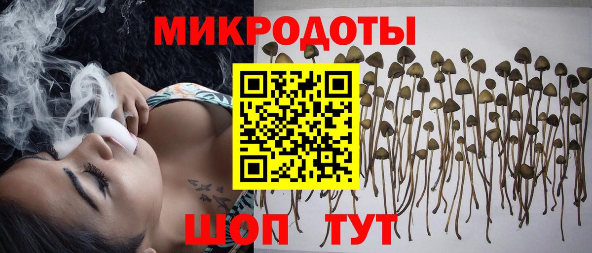 Шарыпово  Псилоцибиновые грибы прущие грибы  Вход с VPN  Псилоцибиновые грибы MAGIC MUSHROOMS 