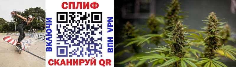 Шишки марихуана OG Kush  наркота  Шарыпово 